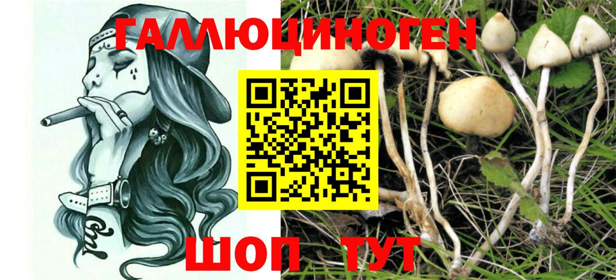 Псилоцибиновые грибы прущие грибы Отрадный