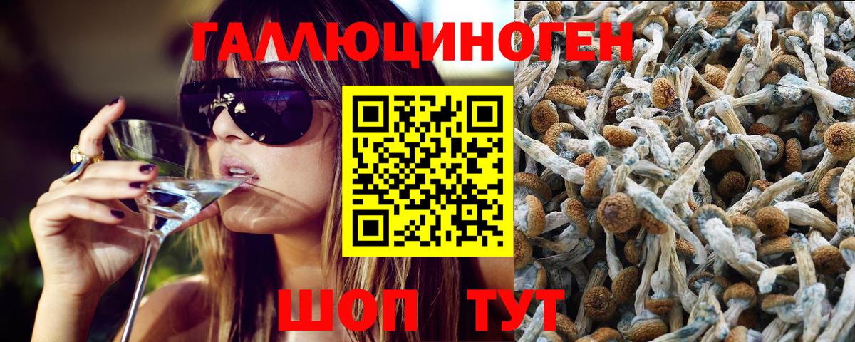 Амфетамин Отрадный
